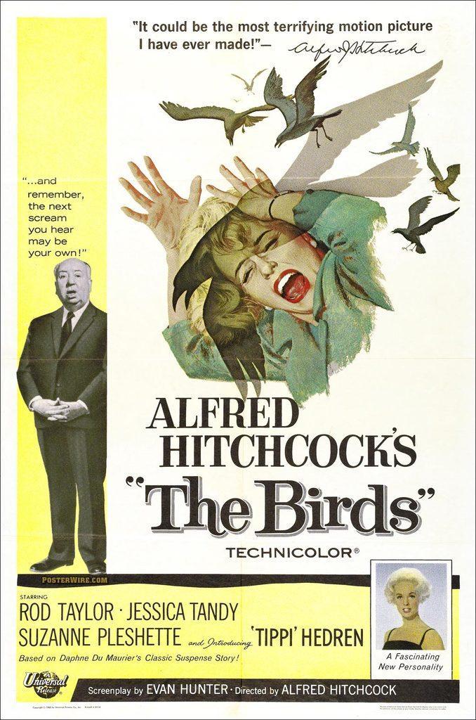LOS PÁJAROS - HITCHCOK